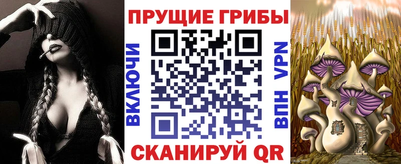 Псилоцибиновые грибы Cubensis  OMG сайт  Павловский Посад  купить  